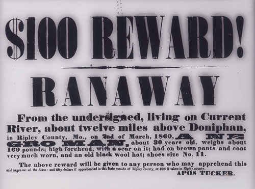 $100 Reward! Ranaway